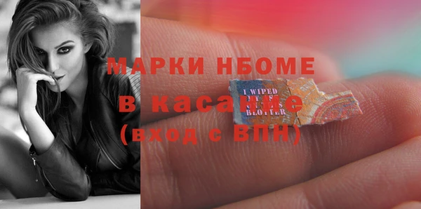 прущие грибы Алексин